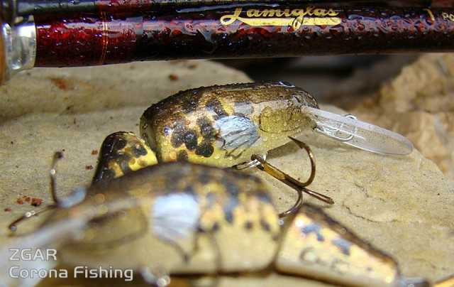 łamaniec na pstrąga